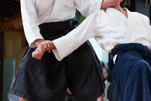 海外でも評価される日本伝統文化「武道」と「スポーツ」の違いは何か？_サブ3.jpg