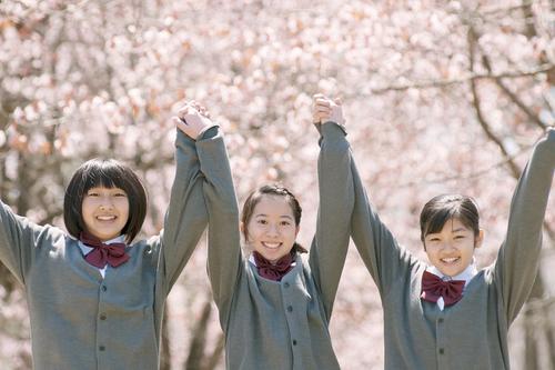 O que as flores de cerejeira significam para os japoneses? Apresentando as trs principais flores de cerejeira das quais o Jap?o se orgulha_Sub 1.jpg
